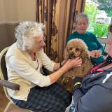 Therapy dogs visit